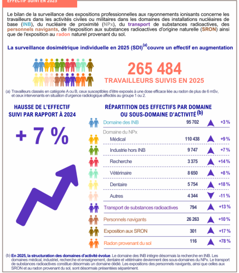 Extrait de l'infographie du rapport travailleurs bilan 2025